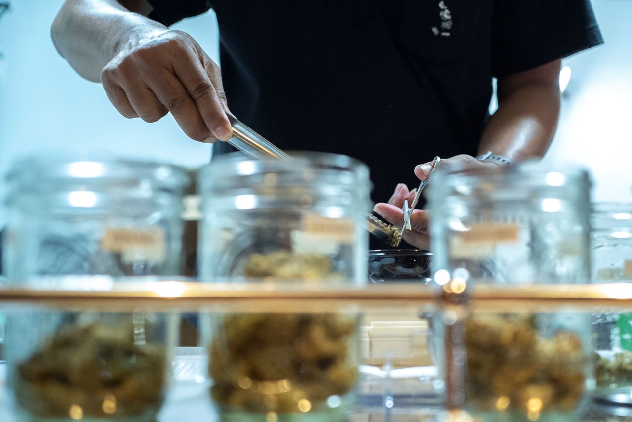 A staff member prepares cannabis for customers at the Happy Bud, a cannabis truck on Bangkok's Khaosan Road.