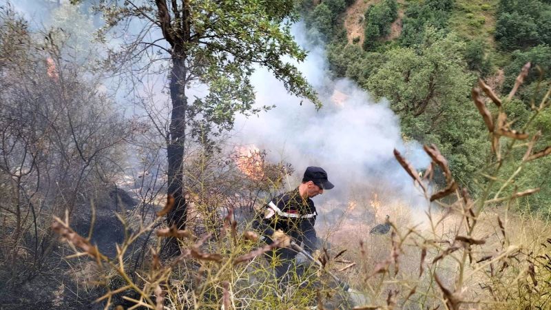 Algerian Forest Fires Kill At Least 37 People And Destroy Nearly 2,600 ...