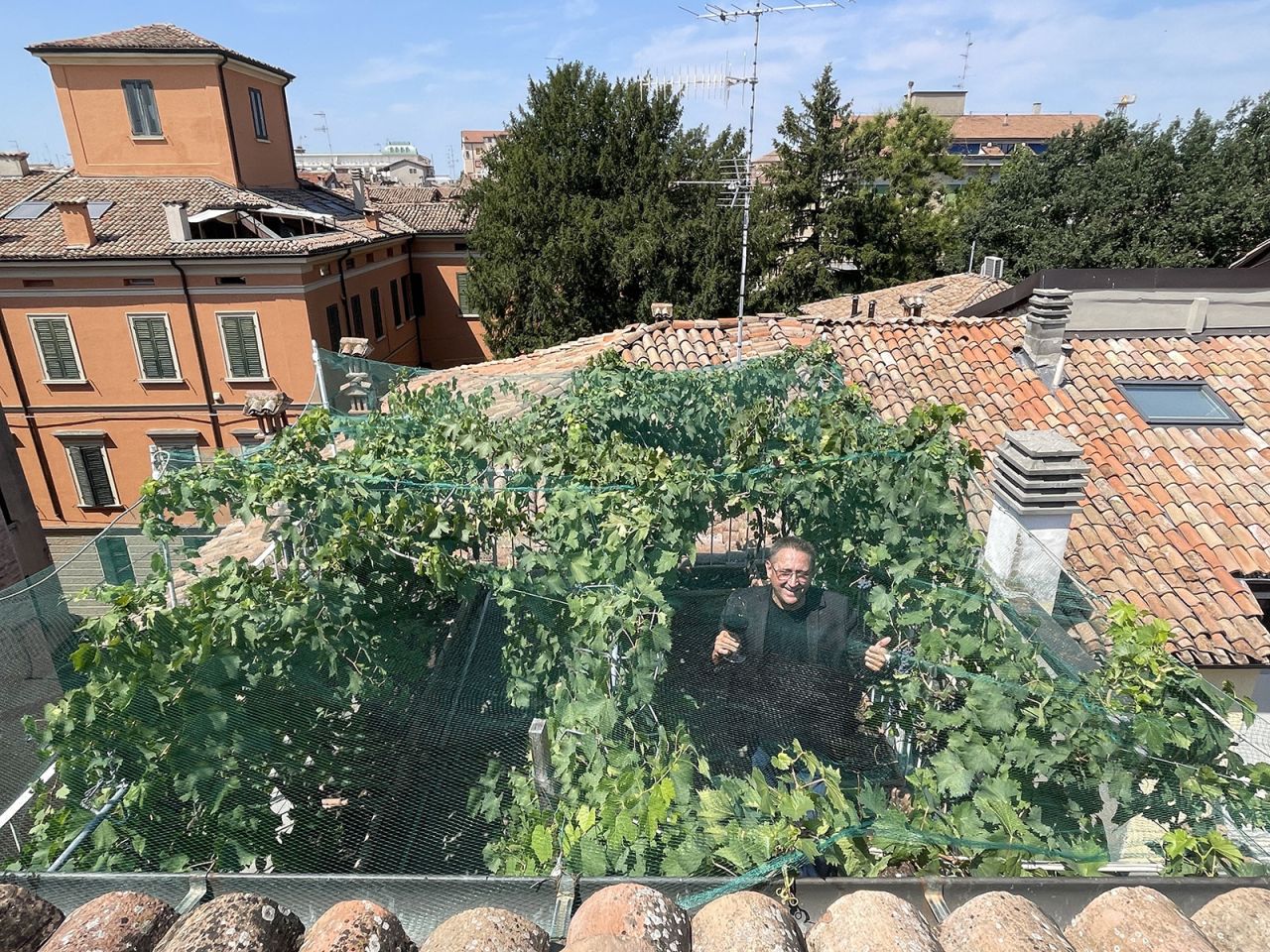 The Sangiovese grapes on the Via Mari 10 rooftop make only 29 bottles of wine a year.