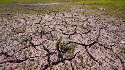 Weeds grow through the cracked soil on what would usually be on the bottom of the Hoppin Hill Reservoir, Wednesday, Aug. 3, 2022, in North Attleboro, Mass. The City of Attleboro, like much of the Northeast, is experiencing drought like conditions. 