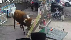 video thumbnail bull shop reuters