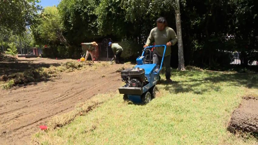 California paying homeowners up to $6 per square foot to rip up their traditional grass lawns in favor of drought-resistant plants or other surfaces.