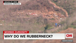 Why do we rubberneck?_00002322.png