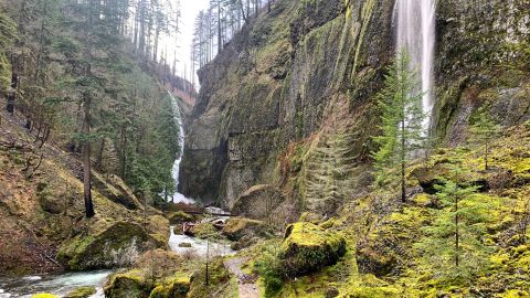 The hiker was on Multnomah Falls-Larch Mountain Trail when she fell. Wahclella Falls Trail, another trail in the gorge, is pictured. 