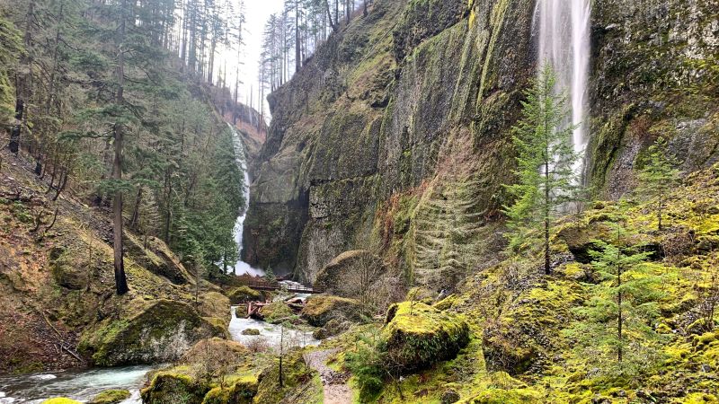 Hiker dies after 100-foot fall in Oregon's Columbia River Gorge | CNN