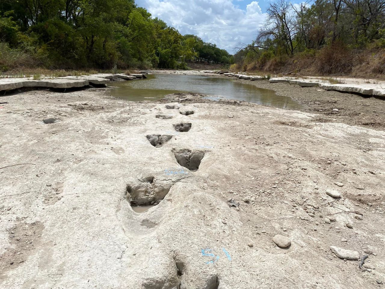 <a href="https://www.cnn.com/2022/08/23/us/dinosaur-tracks-discovered-texas-park/index.html" target="_blank">Dinosaur tracks</a> from around 113 million years ago are seen along a dried up riverbed in Dinosaur Valley State Park, Texas. This summer's excessive drought has caused a river in the park to dry out completely in most spots, <a href="https://www.facebook.com/DinosaurValleyStatePark/videos/5780894828612048/" target="_blank" target="_blank">revealing the tracks</a>, the park said in a statement on Monday, August 22.