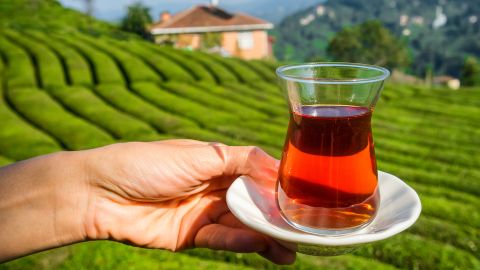 Womans hand holding a glass of traditional turkish tea with beautiful tea plantations in Rize province at background, Turkey. Cup of the fresh black tea with a tea plantations view in Turkey