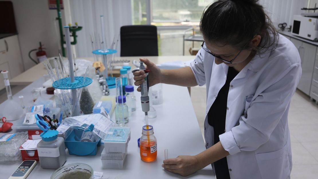 A scientist at ÇAYKUR, Turkey's state-owned tea-producing company.