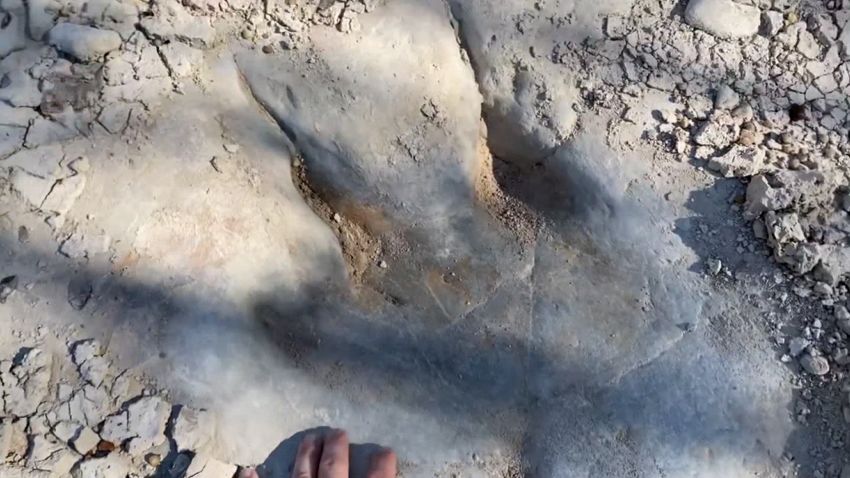 05 dinosaur tracks discovered texas park