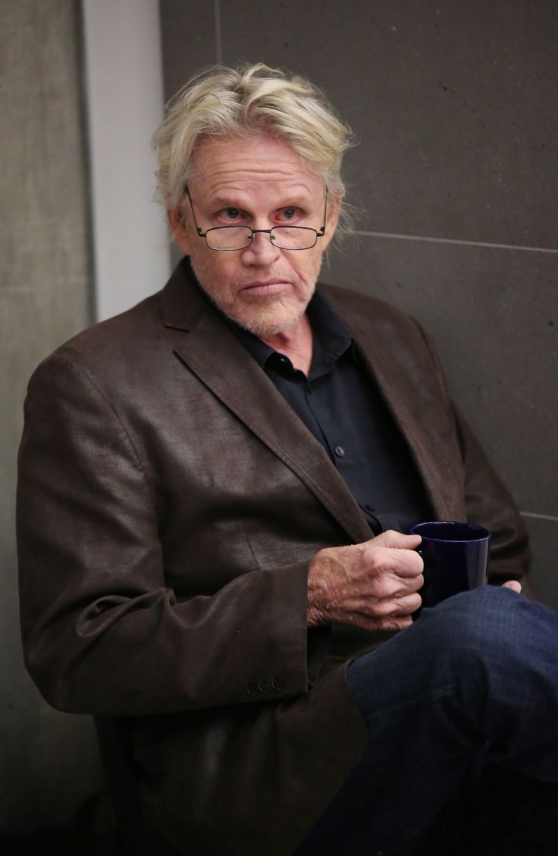 Gary Busey responds to sex offense charges I was not inappropriate at all image picture