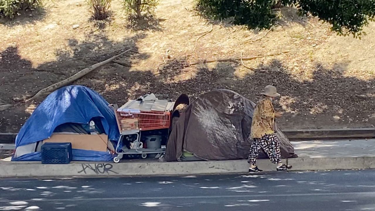 Homelessness has been rising in LA in recent years, accoridng to the homeless services agency.