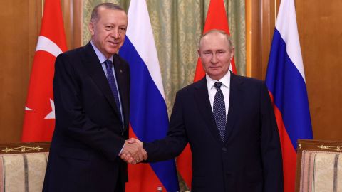 Russian President Vladimir Putin (R) shakes hands with Turkish President Recep Tayyip Erdogan (L) during a meeting in Sochi, on August 5.
