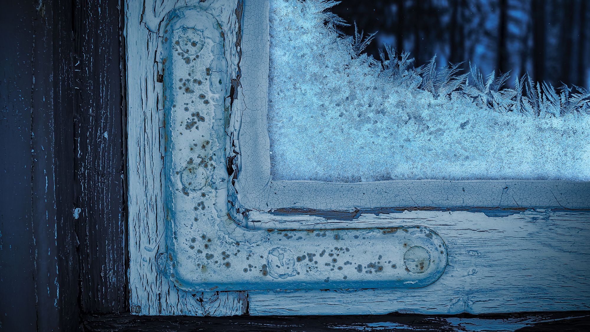 In Kiruna, the northernmost town in Sweden, Felipe Martin Menzella captured a beautiful icy pattern appearing just before dawn on a frosty window.