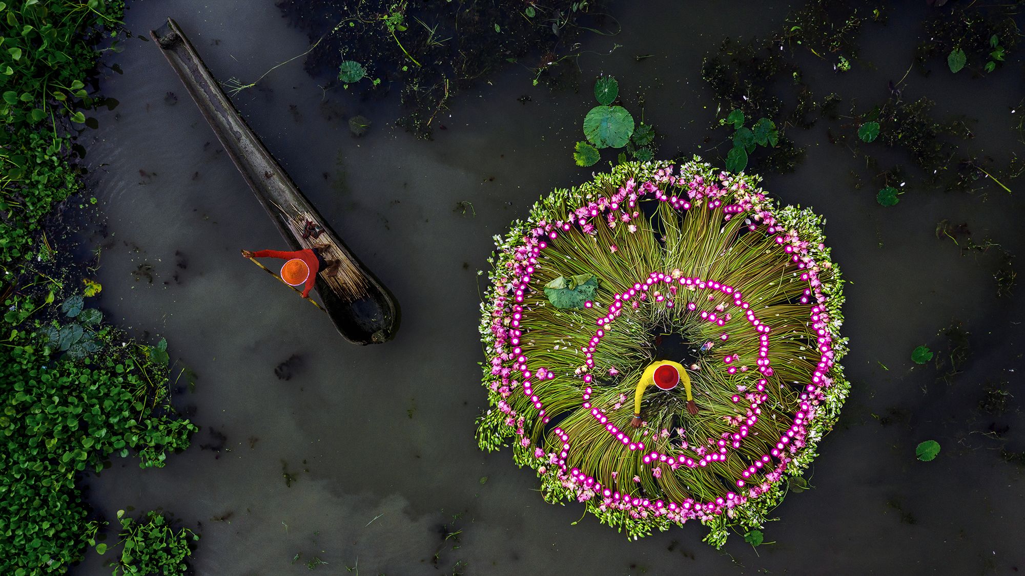 During the monsoon season in the wetlands of India's West Bengal, Shibasish Saha captured this image of people collecting waterlilies to sell in the local market.