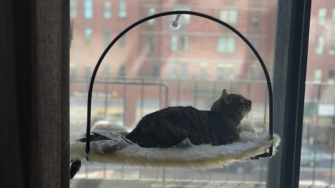 Tuft + Paw Cloud Nine Window Hammock