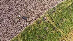NEIJIANG, CHINA - AUGUST 24: An aerial view is seen of a villager walking in a dry and cracked paddy field due to drought on August 24, 2022 in Neijiang, Sichuan Province of China. (Photo by Huang Zhenghua/VCG via Getty Images)