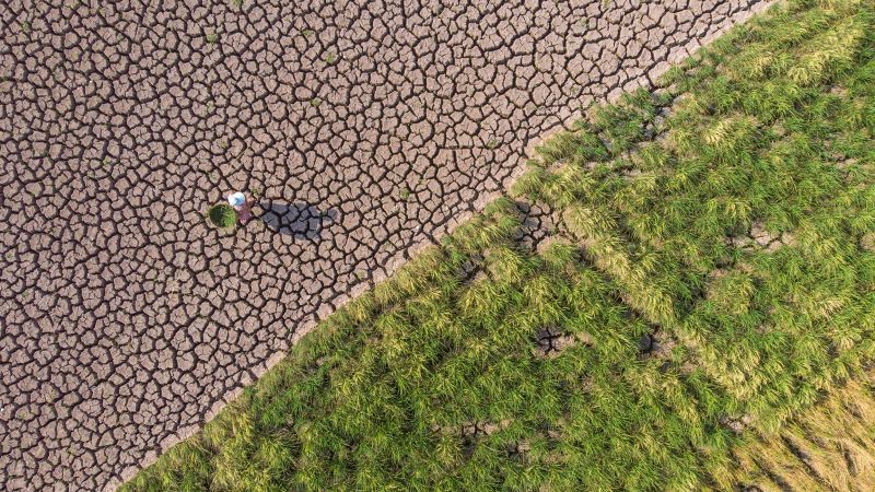 China’s worst heat wave on record is crippling power supplies. How it reacts will impact us all