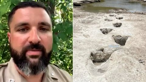 video thumbnail dinosaur expert 1