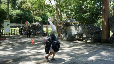 Chiang Mai Zoo in Thailand holding a practice drill on responding to escaped animals -- which they did by putting a staff member in an ostrich costume, and having other employees practice catching him. 