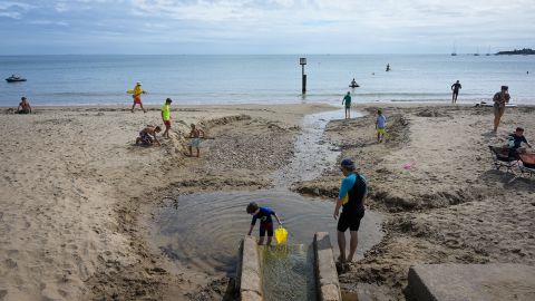 Brits enjoy the beach at Swanage in August, two days after sewage was pumped into the sea.