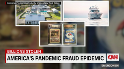 SMR Pandemic Fraud Epidemic_00010127.png