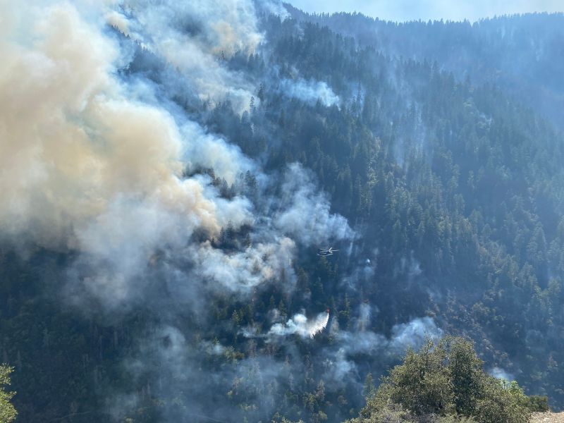 Oregon's Rum Creek Wildfire Nearly Doubles In Size To More Than 8,000 ...