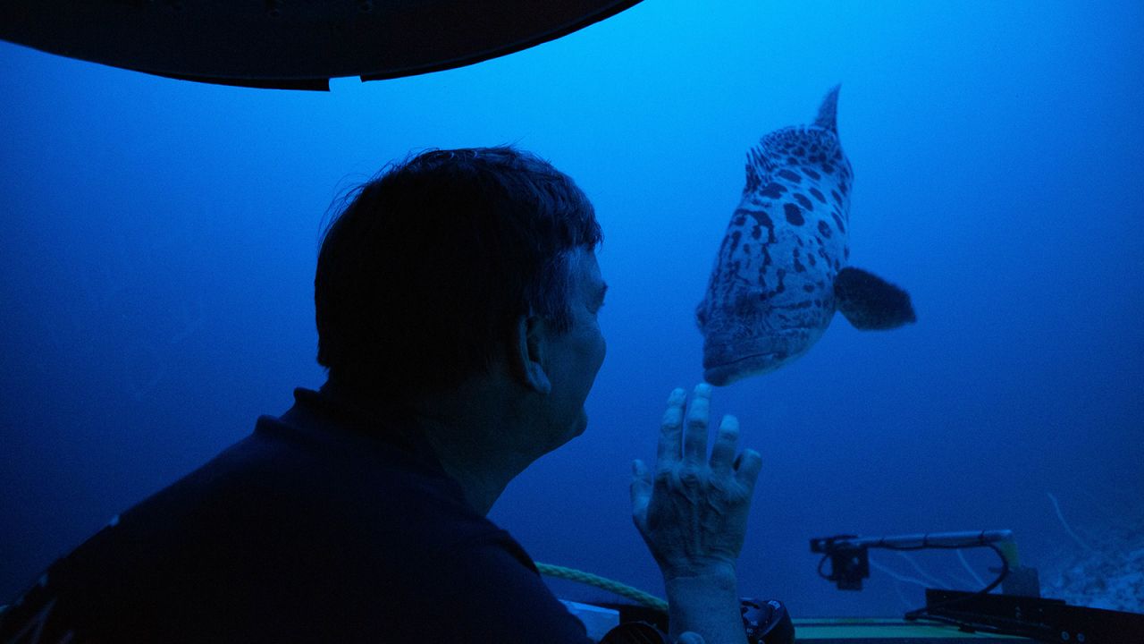<strong>No need for scuba masks:</strong> A submersible pilot reaches out to a grouper through the vessel's acrylic hull in 2019, during an expedition in the Seychelles. 