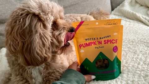 Bocce’s Bakery Pumpk’n Spice Dog Treats