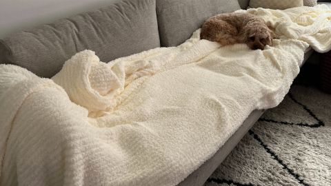 Big Blanket Co. Premier Plush