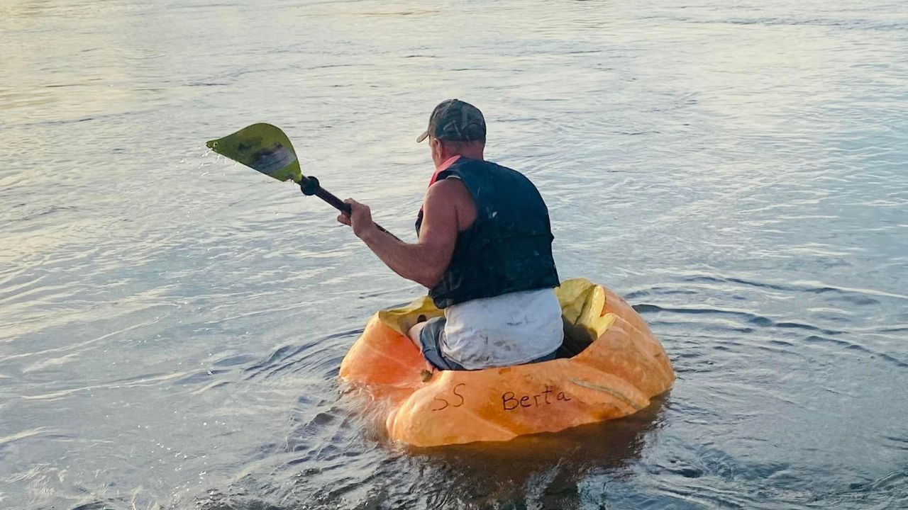 Guinness World Records said it will review an application and evidence to determine if this pumpkin trip was a record setter.
