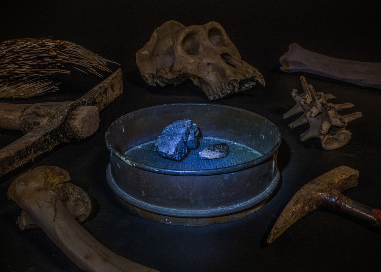 Britta Jaschinski uses a torchlight to highlight the impact of mining coltan, a component of phone and laptop batteries. Here Jaschinski surrounds it with mining tools and the remains of animals impacted by the industry, all seized by customs authorities: A gorilla skull, vertebrae and leg bone and porcupine quills. 