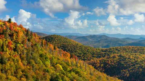 A Blue Ridge Parkway overlook offers picture-perfect autumn views near Asheville, North Carolina.