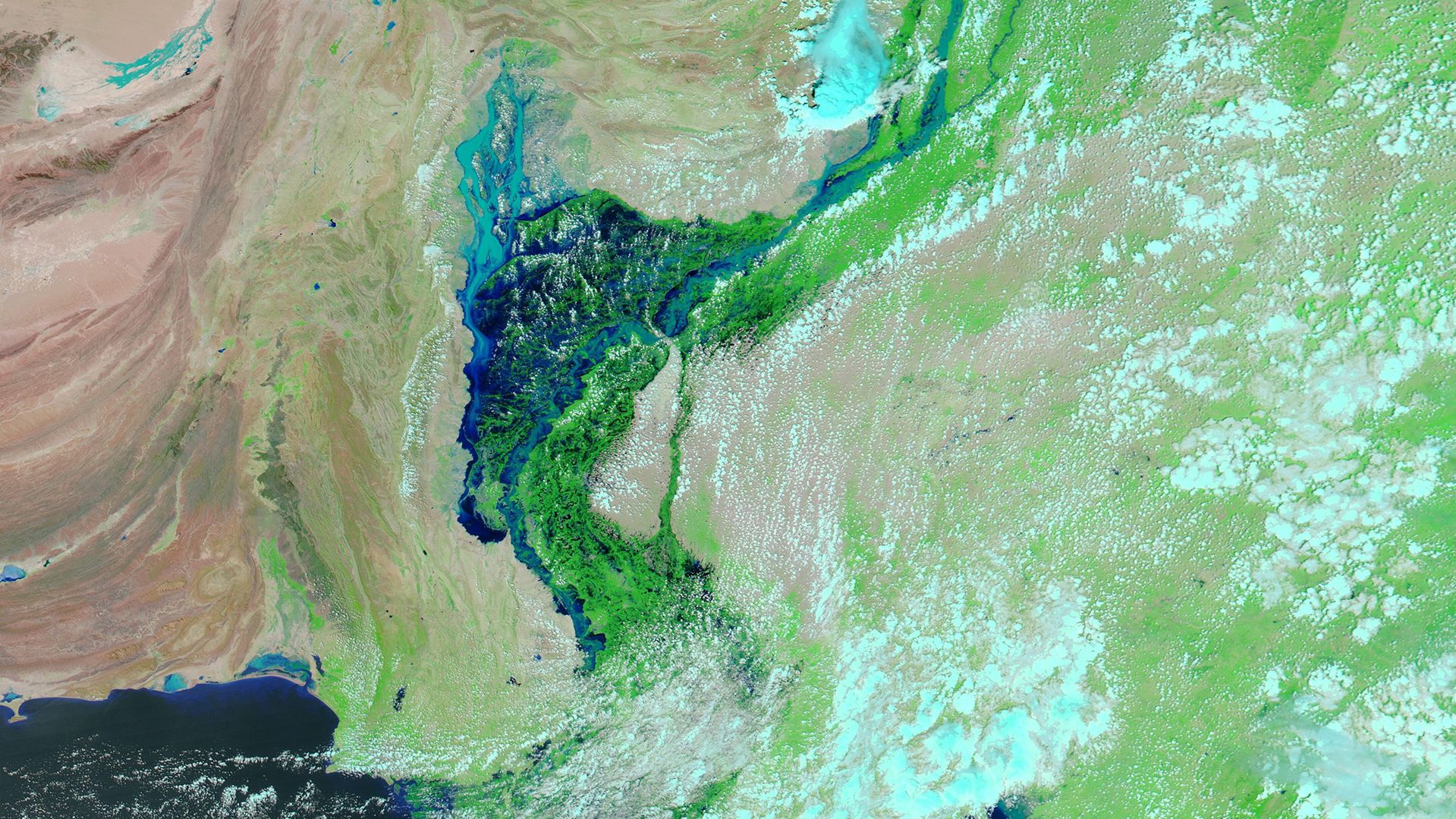 An image of Sindh province, taken on August 28 from NASA's MODIS satellite sensor.