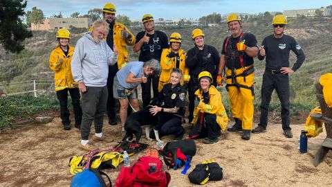 A deaf, elderly dog was rescued in California after falling down a ravine.