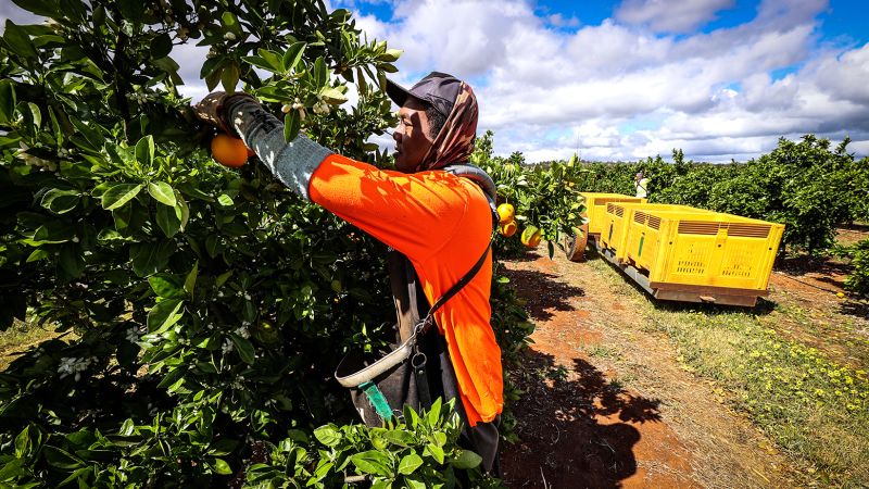 Australia shut its borders to workers, now it’s desperate to get them ...