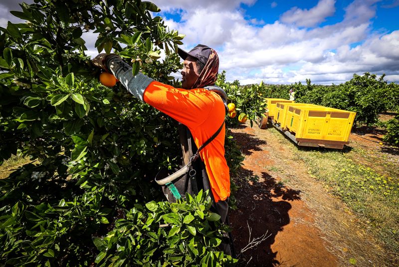 australia-shut-its-borders-to-workers-now-it-s-desperate-to-get-them-back-or-cnn-business