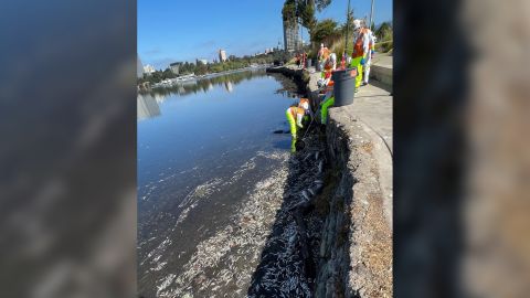 A city-hired crew cleans the Lake Merritt shoreline in Oakland on Wednesday.