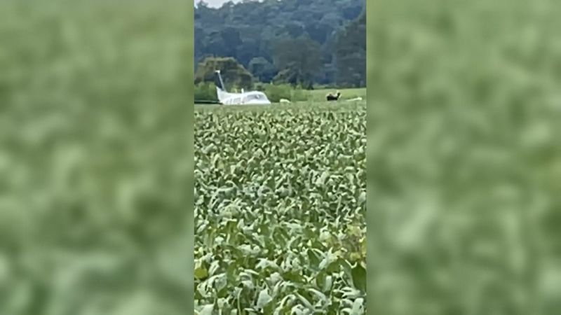 Plane is down pilot in custody after circling Mississippi and