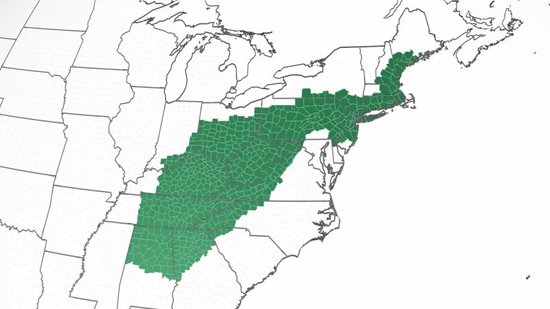 More than 80 million people are under flood watches today, from Alabama to Maine