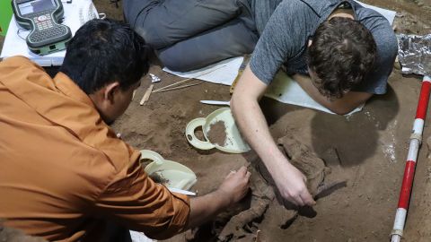 A team of Indonesian and Australian archaeologists excavated the skeleton. 
