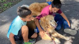 LCC K-9 Comfort Dog Cubby spent time with a family she had met during their deployment in May.