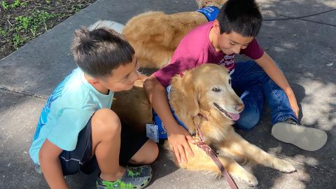 Consolation canines are greeting Uvalde college students for his or her return to high school. This is how canine guests can assist after tragedy