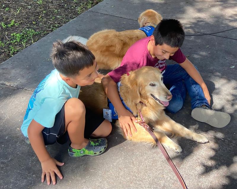 comfort-dogs-are-greeting-uvalde-students-for-their-return-to-school-here-s-how-canine-visitors-can-help-after-tragedy-or-cnn