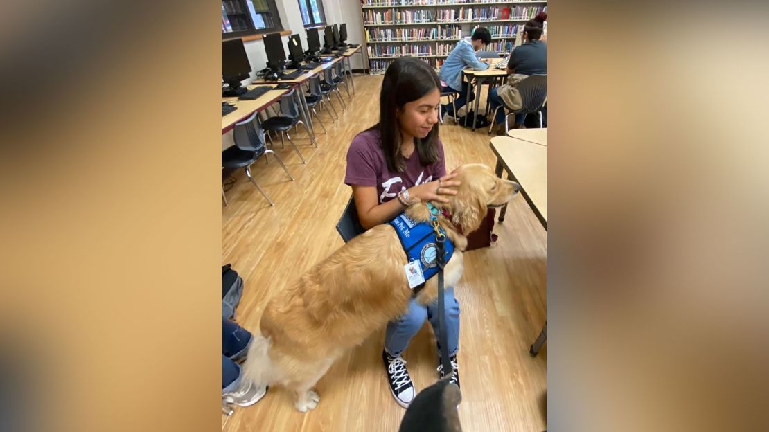 Comfort dog Devorah from Fort Collins, Colorado, spends time with a student in the library at Uvalde High School.