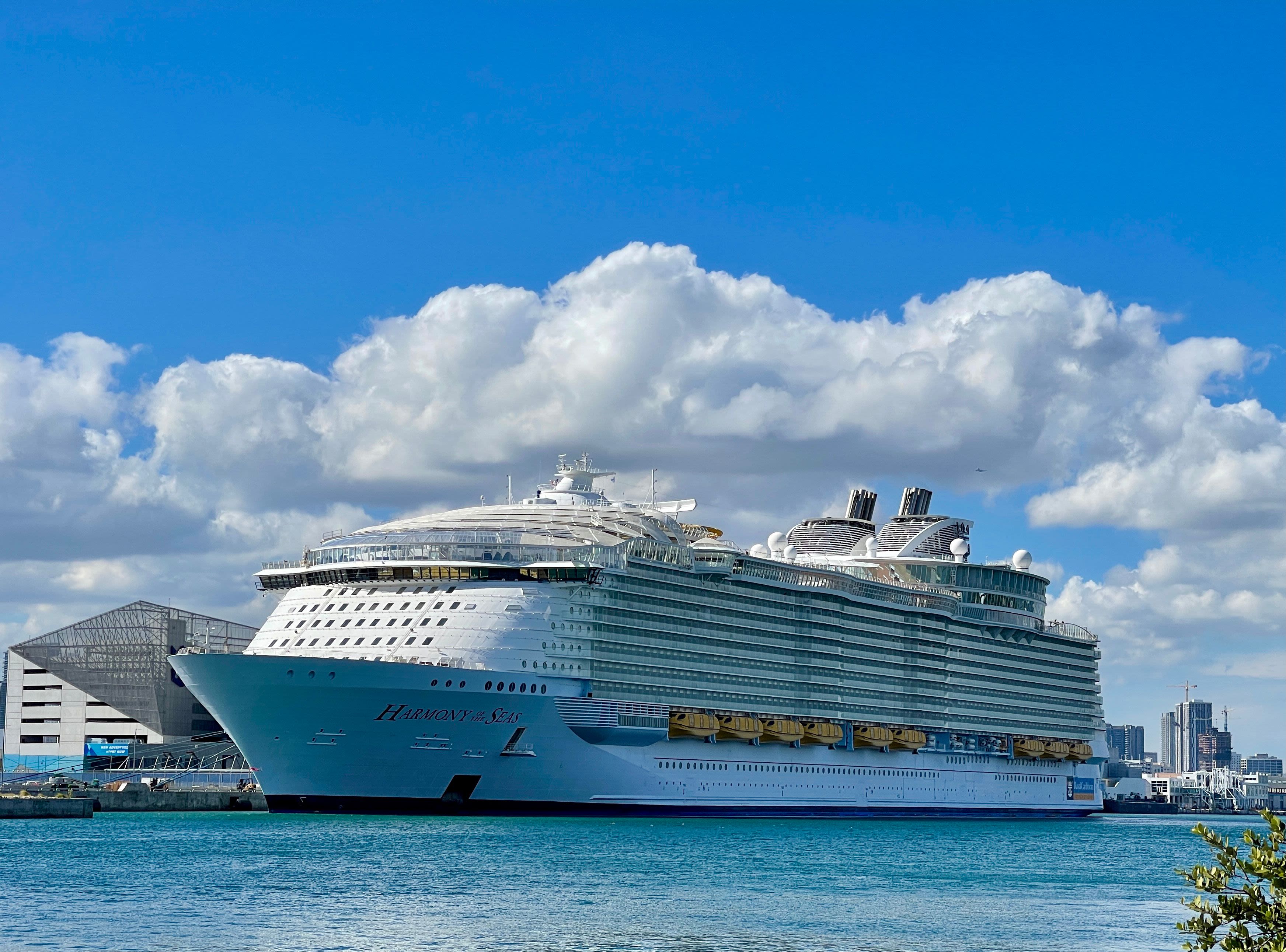 cruise ship passenger killed by shark in the bahamas