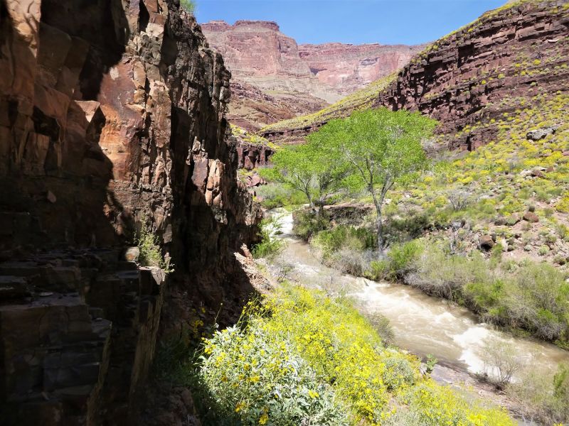 A woman died in the Grand Canyon while hiking in extremely high temperatures, park says | CNN