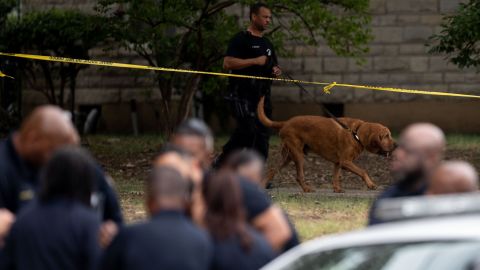 Officers work the scene where Eliza Fletcher is believed to have been kidnapped Friday.