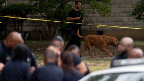 Law enforcement members are working at the site of Eliza Fletcher's alleged kidnapping on Friday.