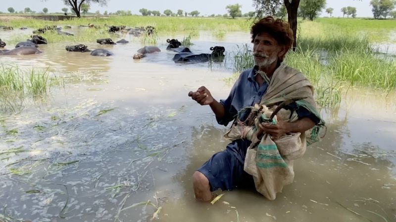 ‘We are going to drown’: villagers trapped as Pakistan’s largest lake overflows | CNN