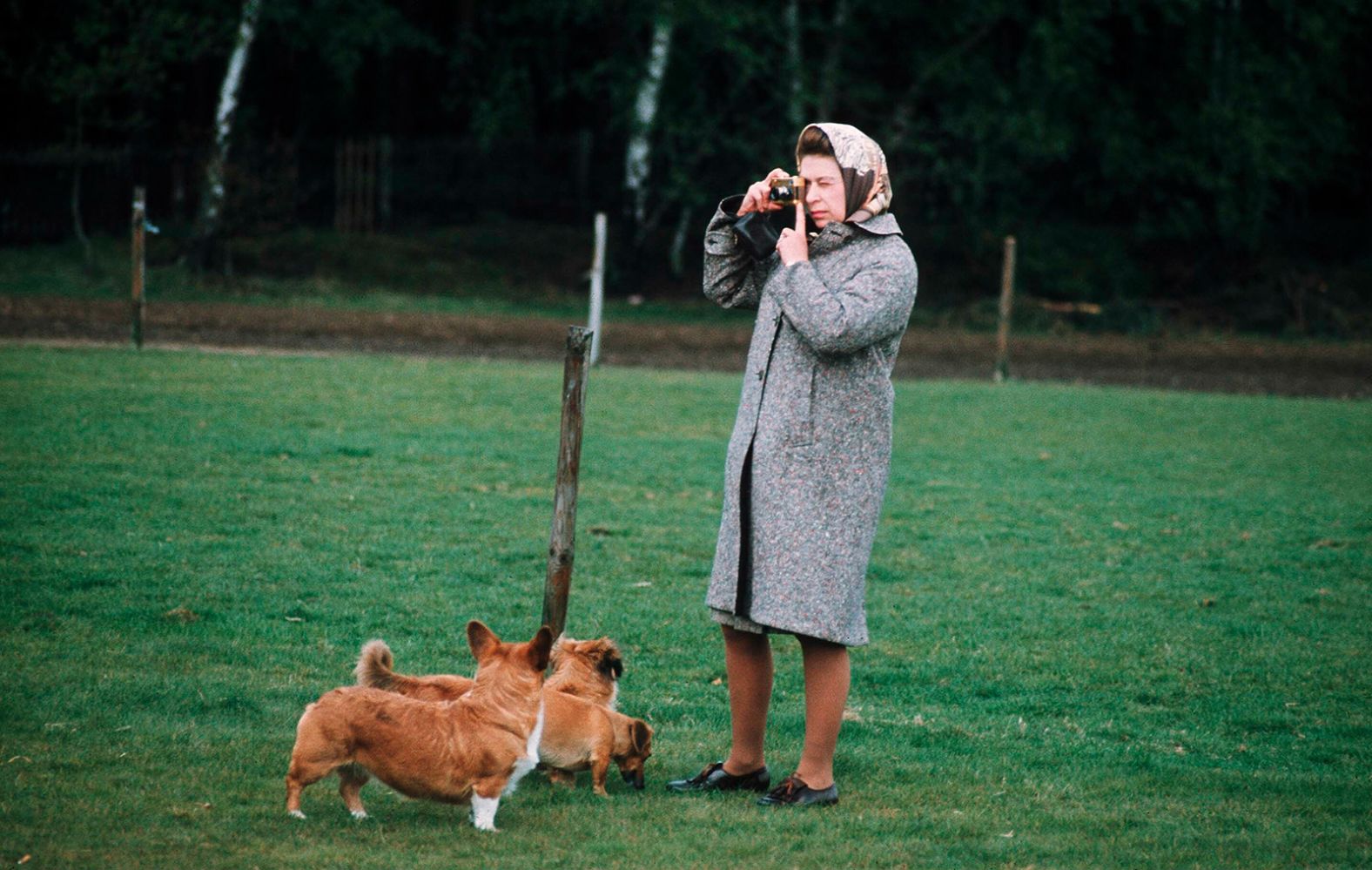 The Queen takes photos with her corgis at Windsor Park in 1960.